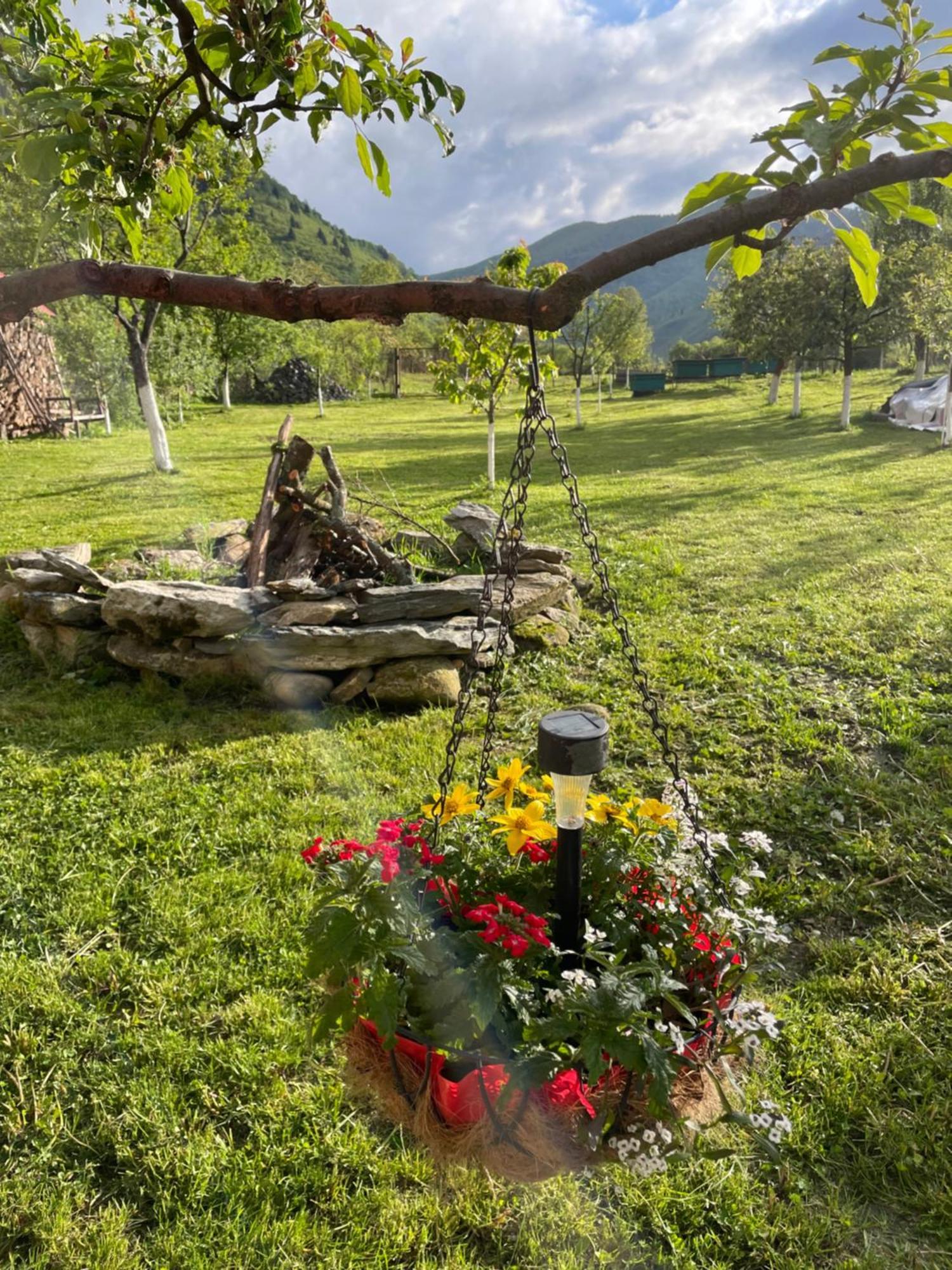 Отель Casa Bunicilor Nucsoara  Экстерьер фото